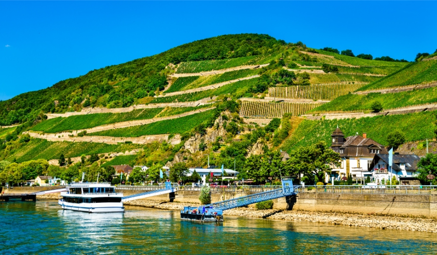 Rheingau Wine Tour from Frankfurt: Complete Day Trip Itinerary & Transit Planner