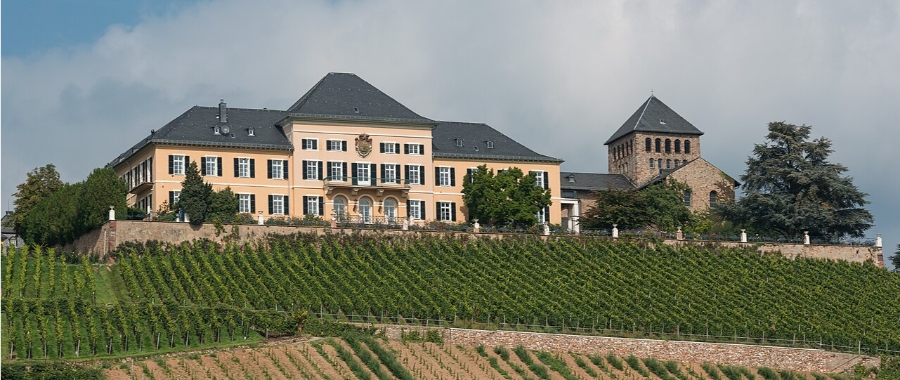Schloss Johannisberg features a prominent house on a hill, encircled by sprawling vineyards in Germany.
