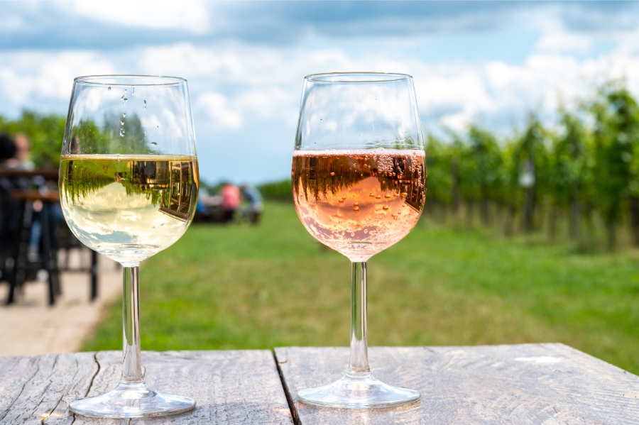 Riesling Wine Glass Guide: How Shape Impacts Aroma and Flavor