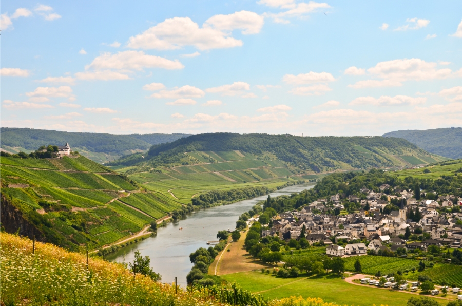 Scenic view of the Moselle Valley in Germany, showcasing lush vineyards and the winding river landscape.