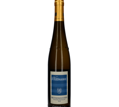 2022 Weingut Wittmann Morstein Riesling Trocken Grosses Gewächs BIO